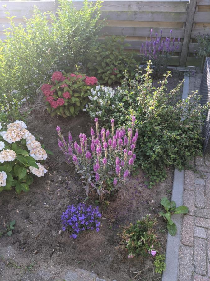 Bed and Breakfast Logies21 Texel Oosterend  Экстерьер фото